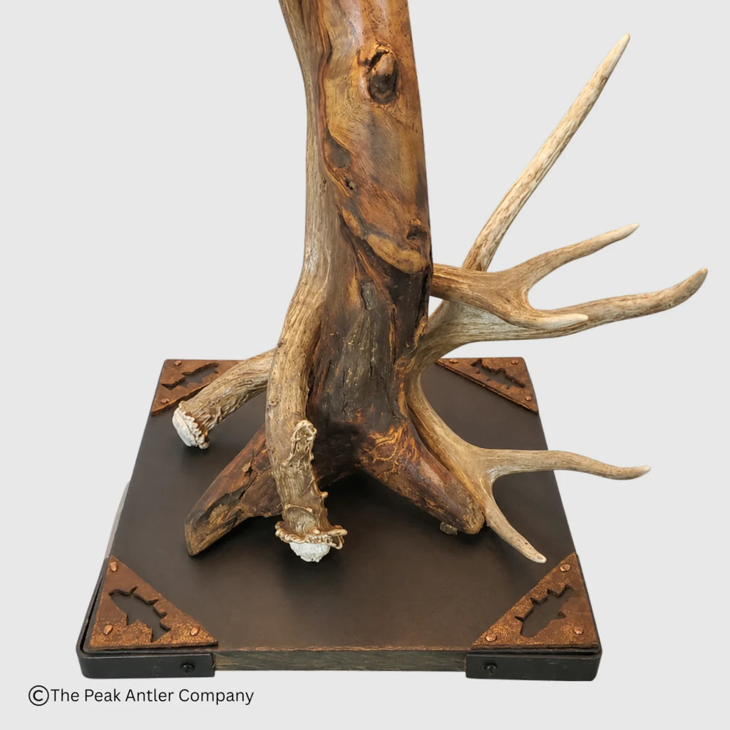 A natural deer antler stand crafted from a large tree trunk and antlers, mounted on a square dark brown base with metal corner protectors, shown on a light gray background.