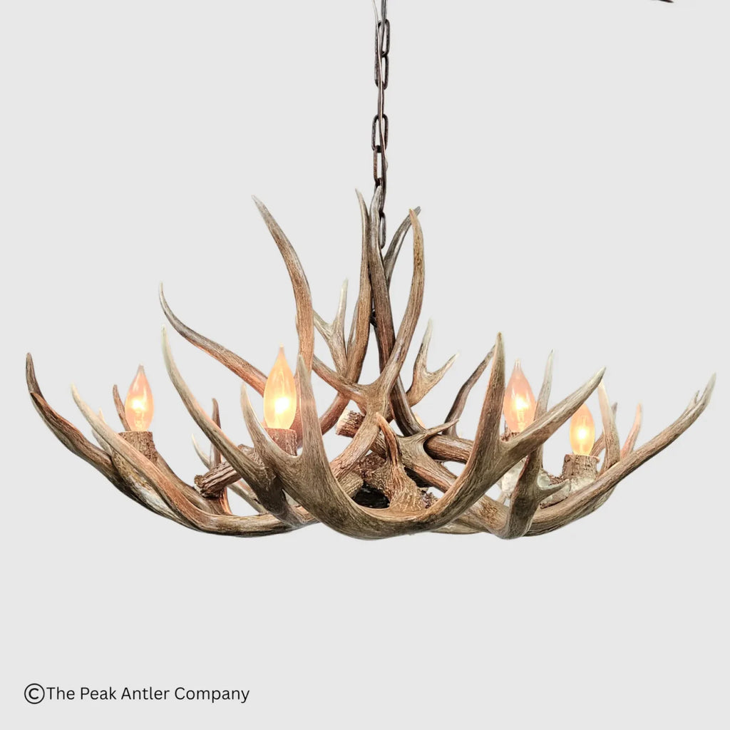 A rustic six-light antler chandelier with a dark metal hanging chain, suspended against a light gray background. The chandelier features five faux deer antlers arranged in a circular shape, each holding a warm glowing light bulb.