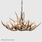 A rustic six-light antler chandelier with a dark metal hanging chain, suspended against a light gray background. The chandelier features five faux deer antlers arranged in a circular shape, each holding a warm glowing light bulb.