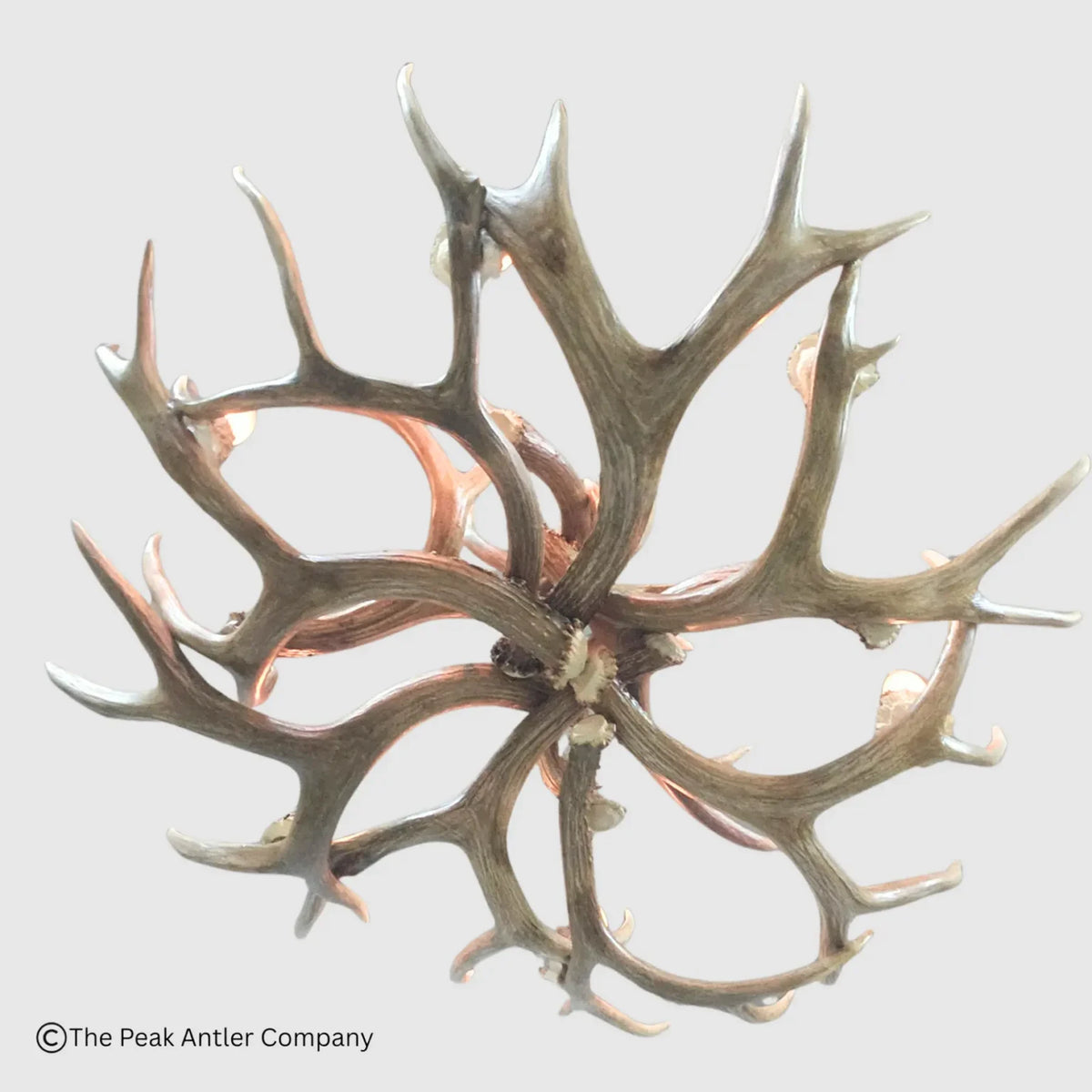 A multi-point antler crown, likely from a red deer, arranged in a circular pattern on a light gray background. A copyright watermark for 'The Peak Antler Company' is visible in the bottom-left corner.