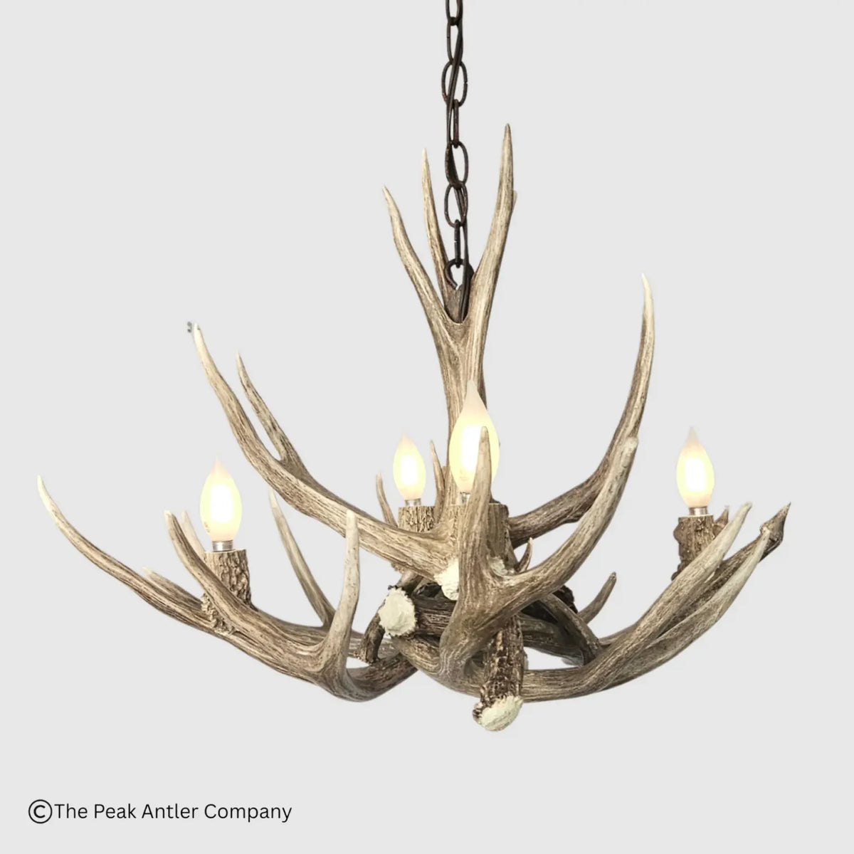 A rustic antler chandelier with a dark metal chain, suspended against a light gray background. The chandelier features five faux deer antlers with a weathered brown and beige finish, each holding a lit bulb.