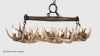 Snowmass Whitetail Deer Antler Chandelier