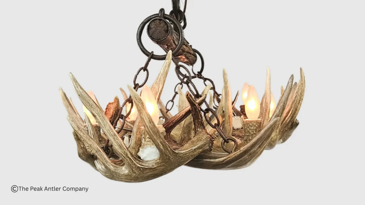 Snowmass Whitetail Deer Antler Chandelier