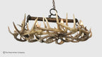 Snowmass Whitetail Deer Antler Chandelier