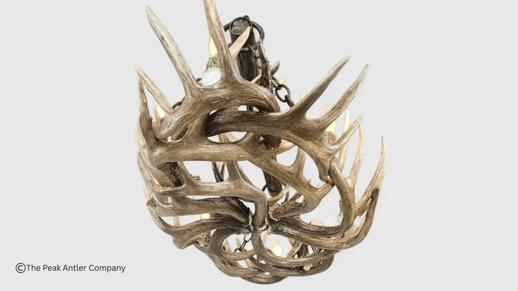 Snowmass Whitetail Deer Antler Chandelier