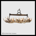 Snowmass Whitetail Deer Antler Chandelier