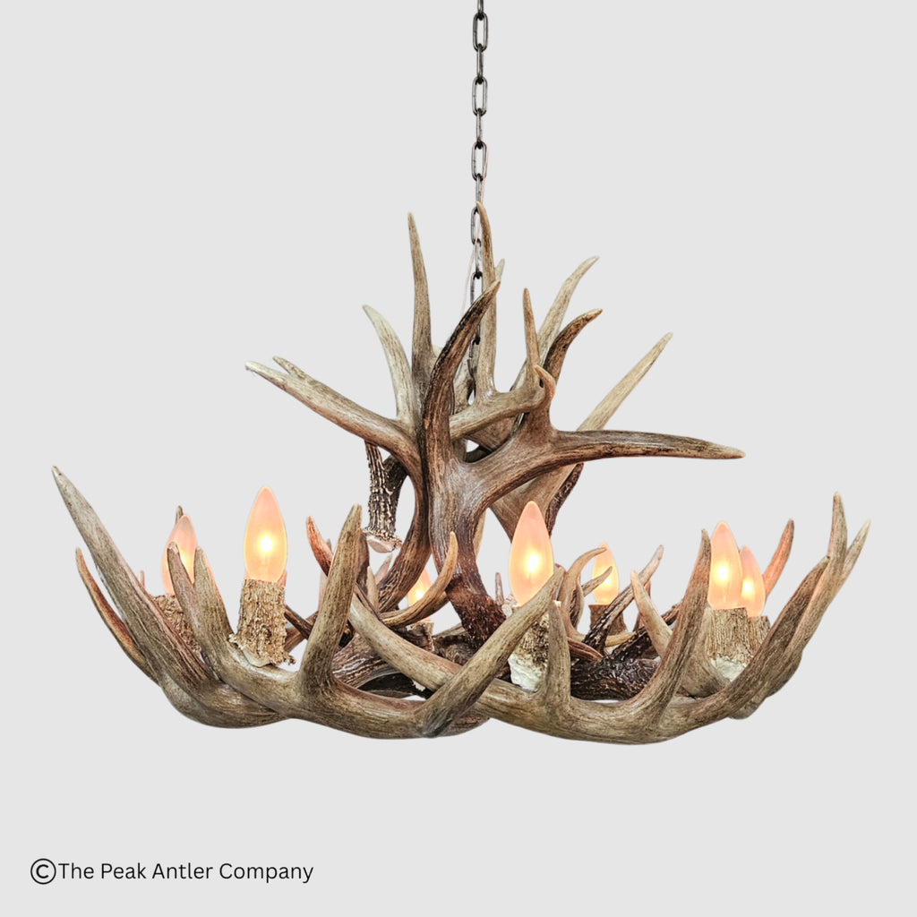 Little Bear Peak Series Whitetail Deer Antler Chandeliers