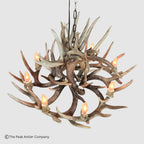 Little Bear Peak Series Whitetail Deer Antler Chandeliers