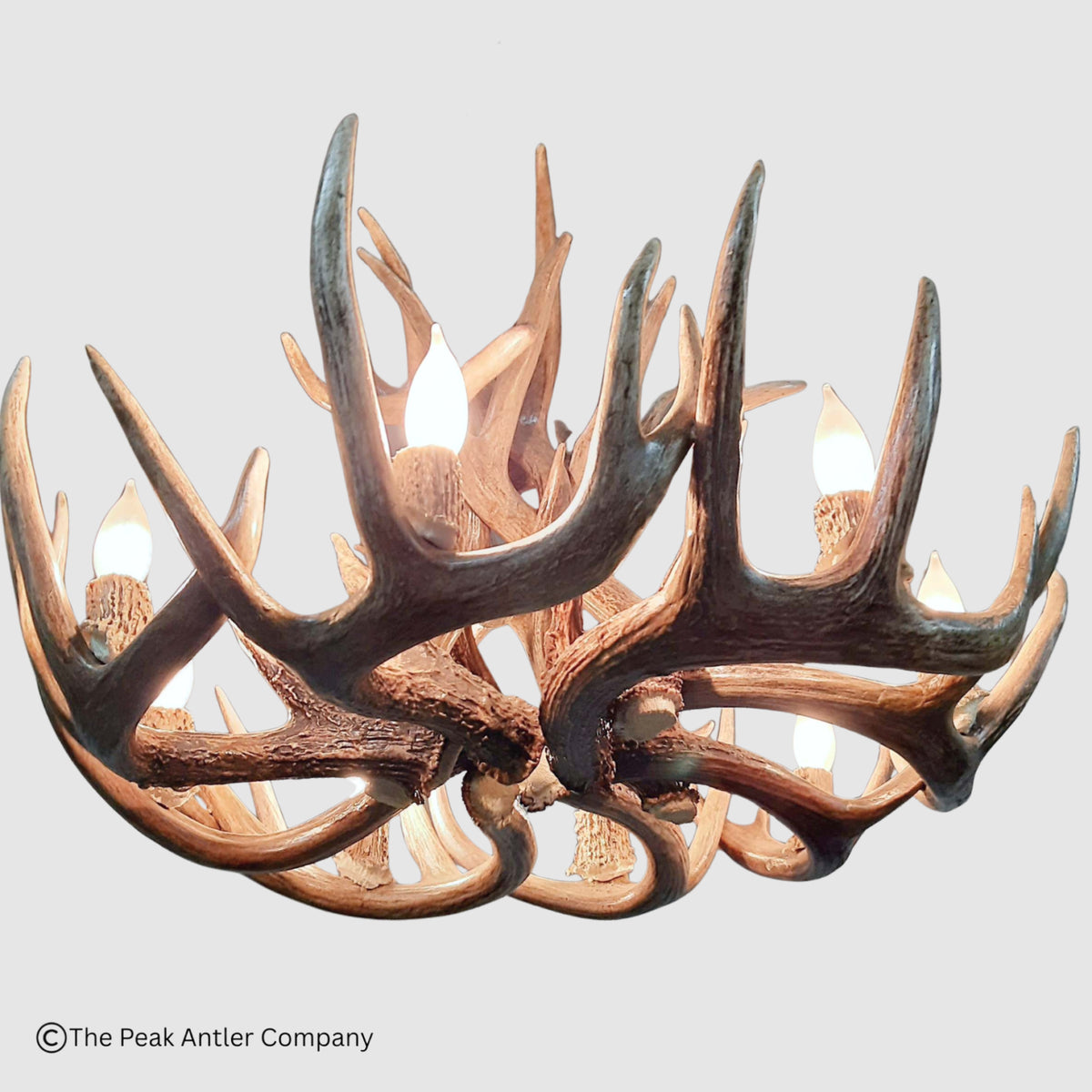 Little Bear Peak Series Whitetail Deer Antler Chandeliers