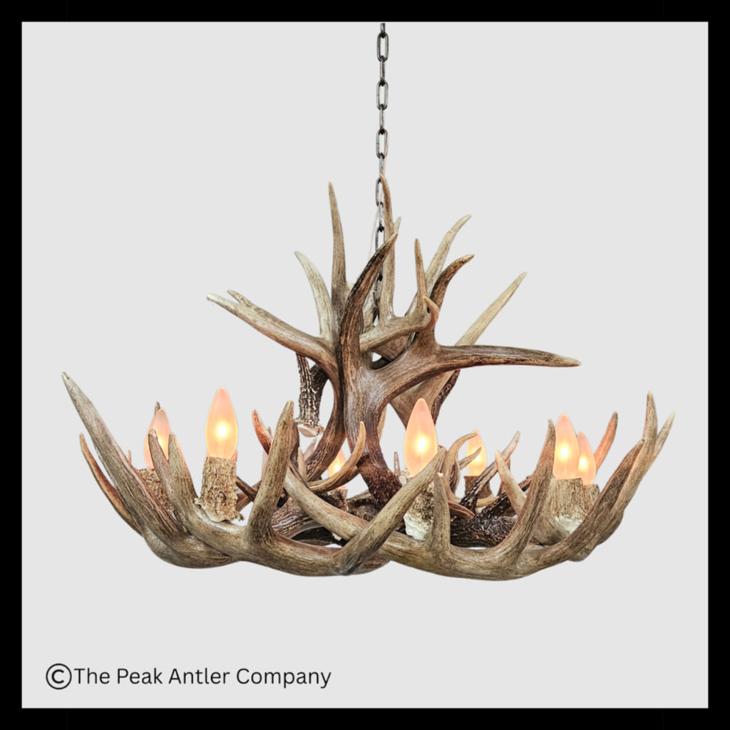 Little Bear Peak Series Whitetail Deer Antler Chandeliers