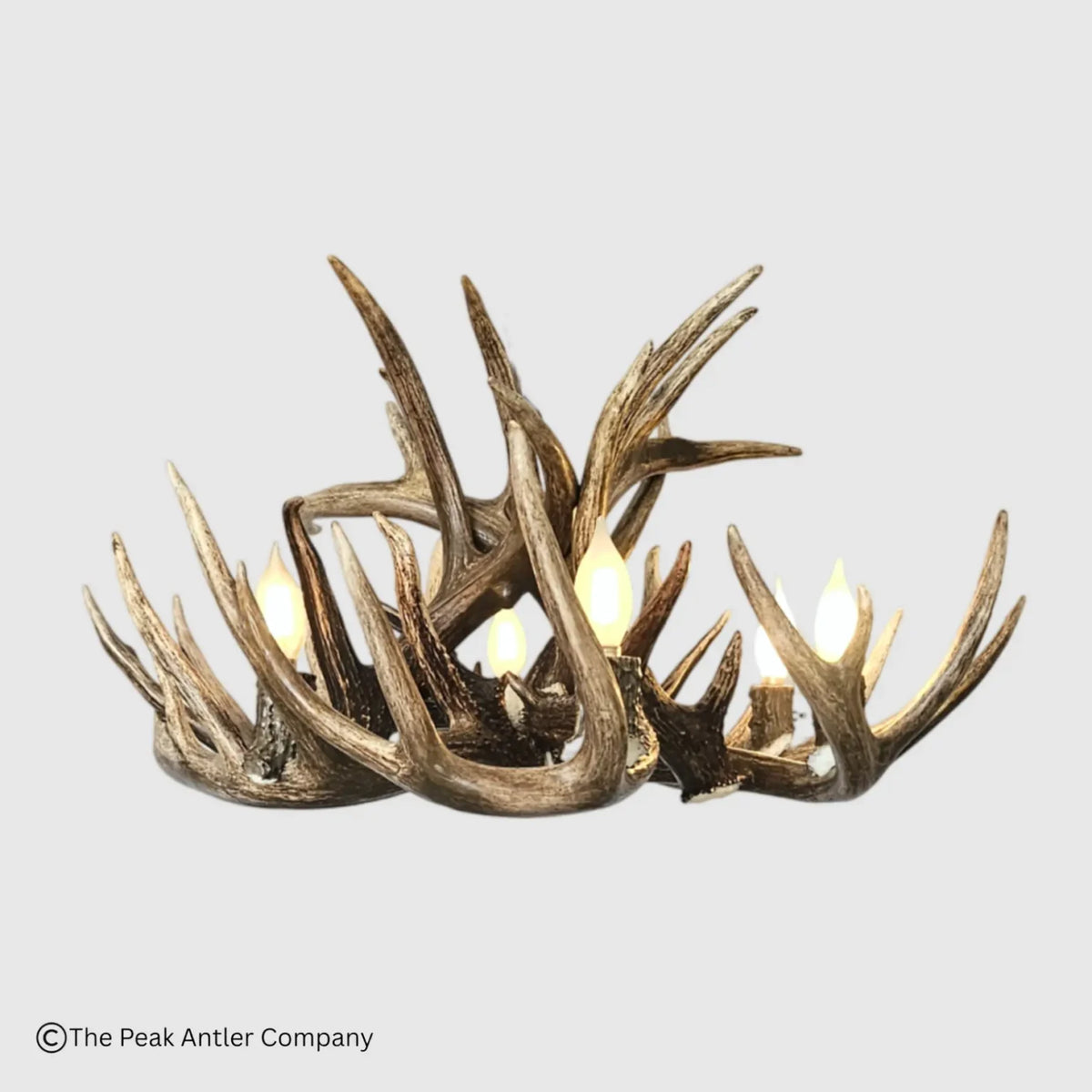 Little Bear Peak Series Whitetail Deer Antler Chandeliers