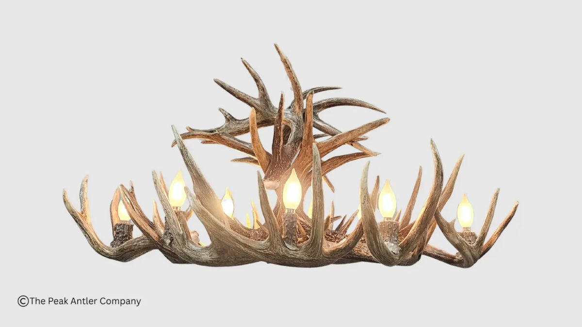 Little Bear Peak Series Whitetail Deer Antler Chandeliers