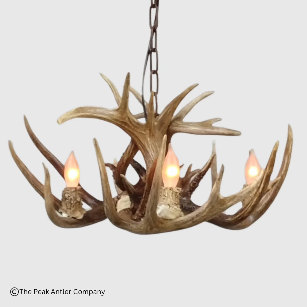 Little Bear Peak Series Whitetail Deer Antler Chandeliers