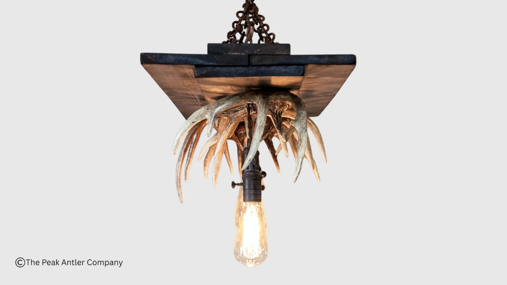 A rustic hanging light fixture featuring a dark wood square plate, a cluster of natural antlers, and a single exposed Edison bulb suspended below on a light gray background.