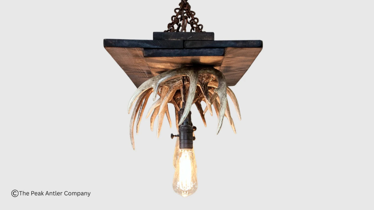 A rustic hanging light fixture featuring a dark wood square plate, a cluster of natural antlers, and a single exposed Edison bulb suspended below on a light gray background.