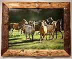 Stampede horse oil painting by Judith Dickinson in a rustic wood frame
