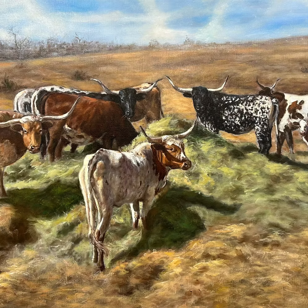 Detail of longhorn cattle gathered around hay in Gathering by Judith Dickinson