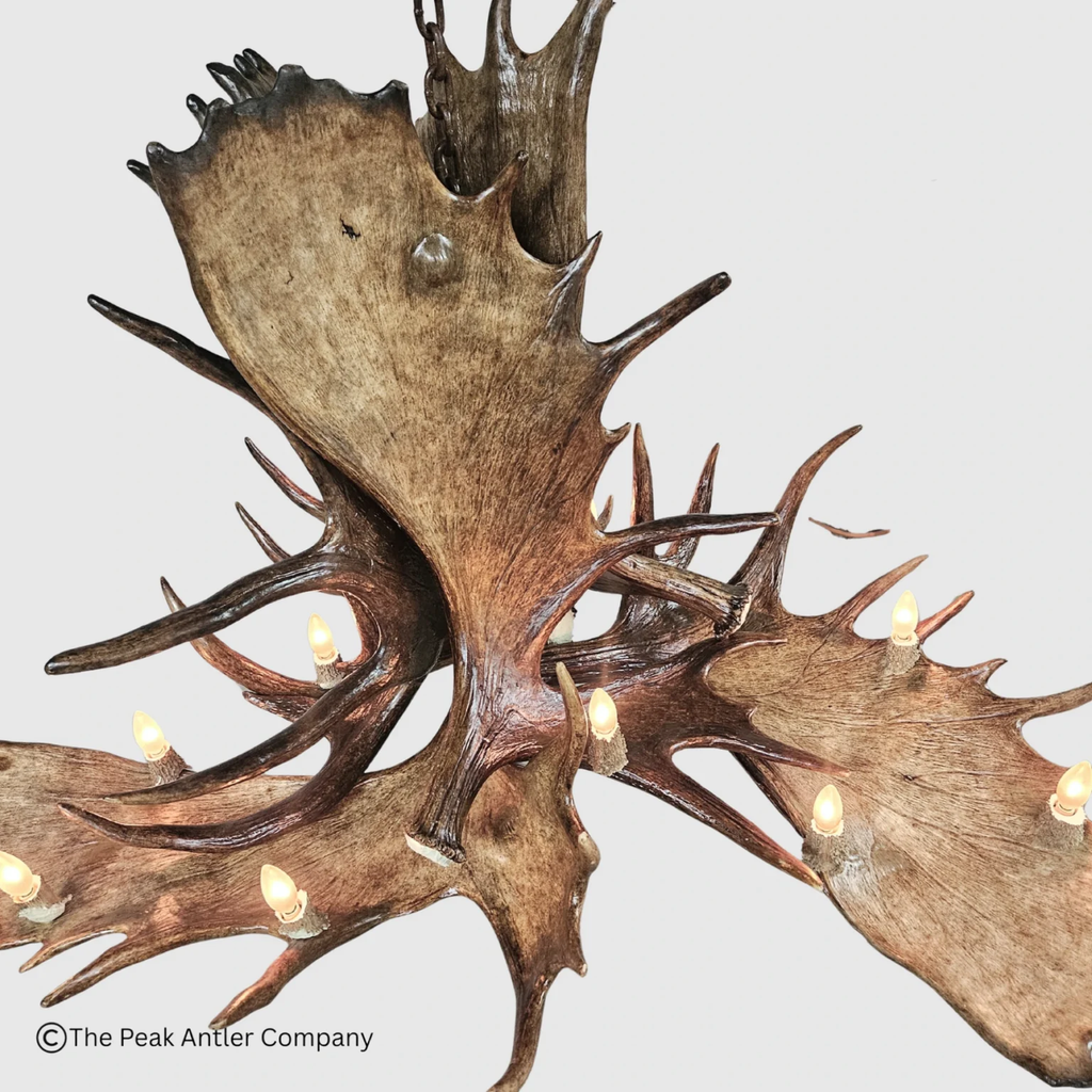 Uncompahgre Peak Series Moose Antler Chandeliers