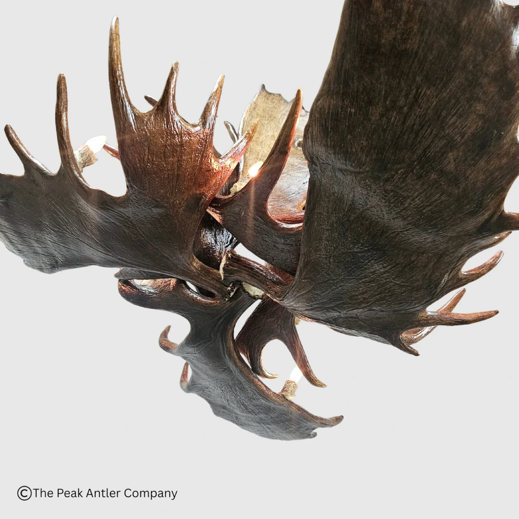 Uncompahgre Peak Series Moose Antler Chandeliers
