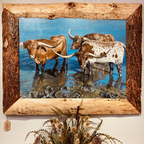 Longhorns | Oil on Canvas | Judith Dickinson